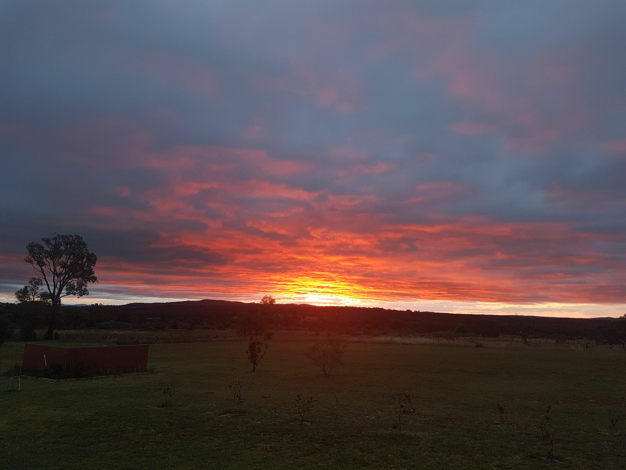 Grovely House Bed and Breakfast Stanthorpe Eksteriør billede